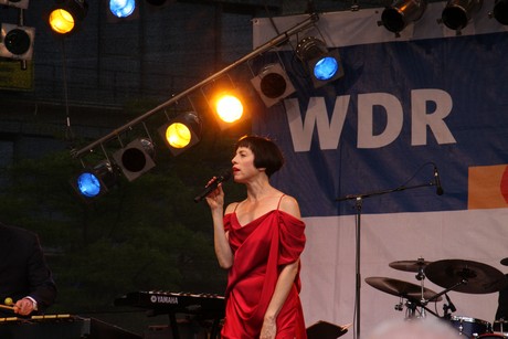 wdr4
