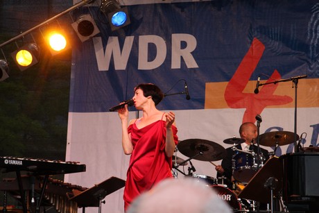 wdr4