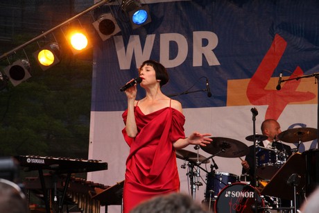 wdr4