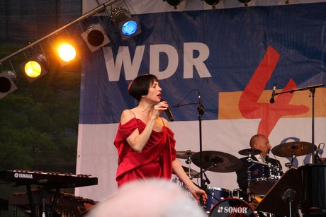 wdr4