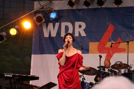 wdr4
