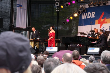 wdr4