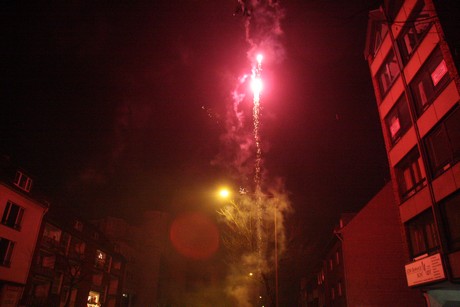 silvester