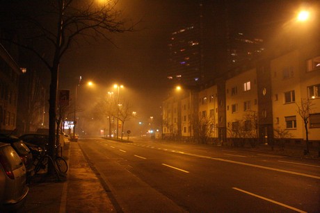 silvester