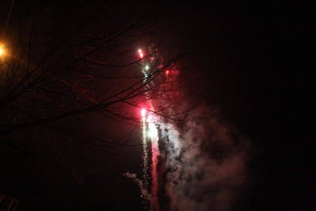 silvester