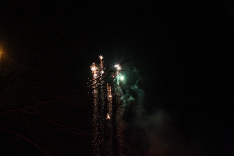 silvester