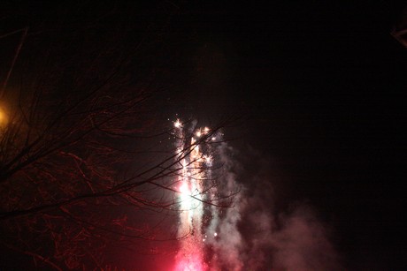 silvester