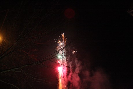 silvester