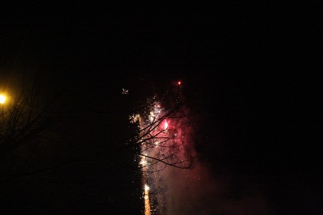 silvester