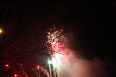 silvester
