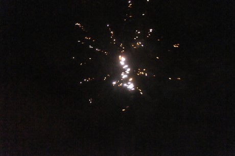 silvester
