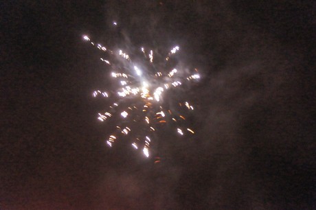 silvester