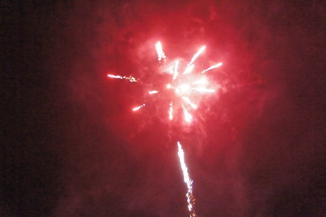 silvester