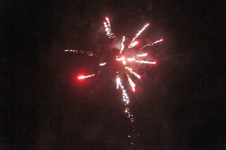 silvester