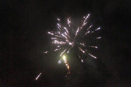 silvester