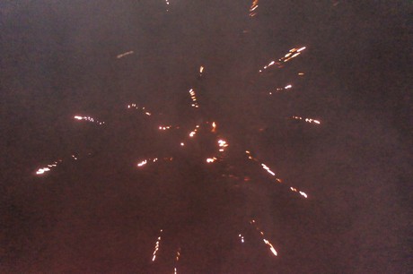 silvester