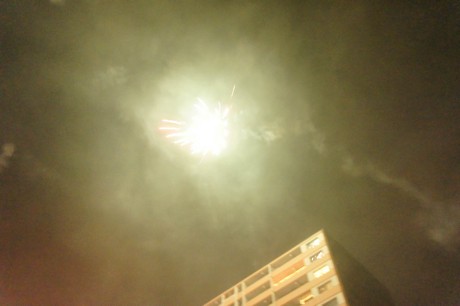 silvester