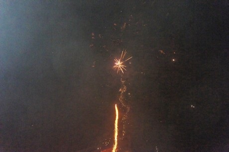 silvester