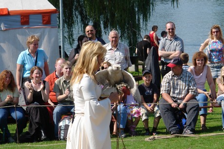 spectaculum