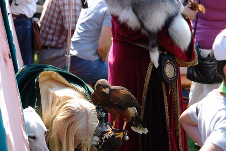 spectaculum