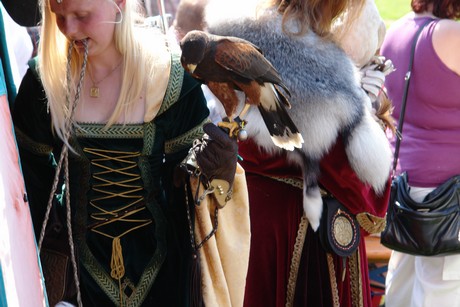 spectaculum