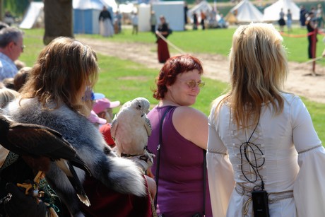 spectaculum