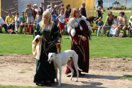 spectaculum