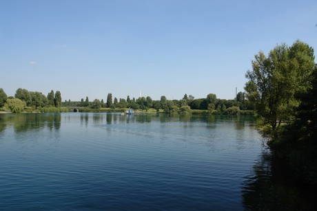 spectaculum