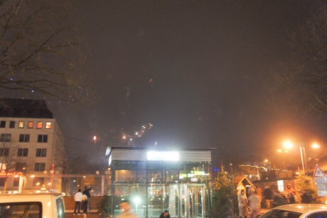 silvester