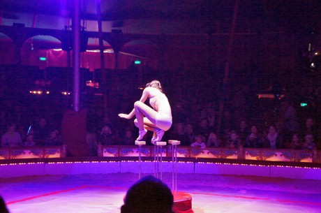 Cirkus-Roncalli