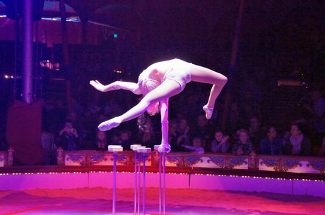 Cirkus-Roncalli