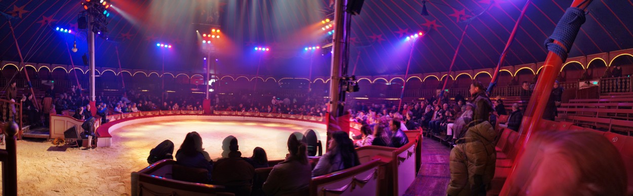 Tag der offenen Tür im Cirkus Roncalli 