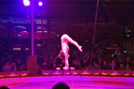 Cirkus-Roncalli