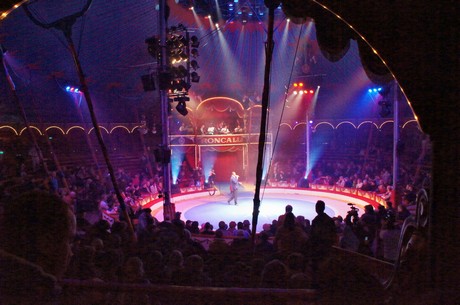 Cirkus-Roncalli