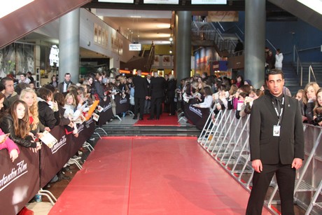 wilde-huehner