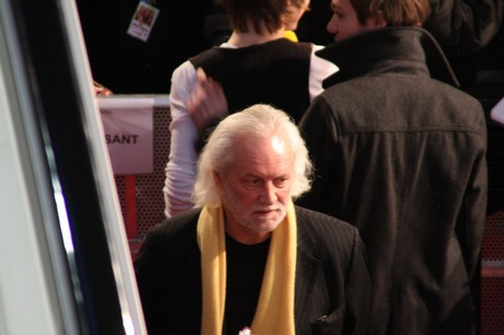 wilde-huehner