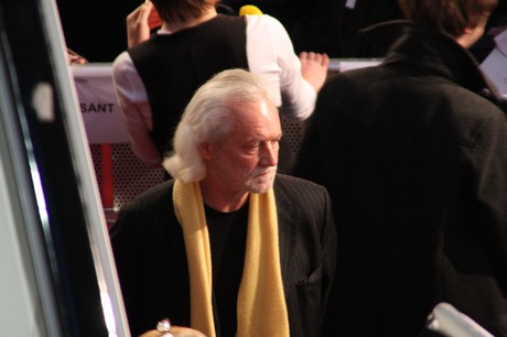 wilde-huehner