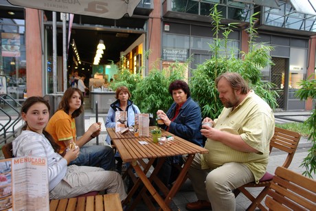 besucher