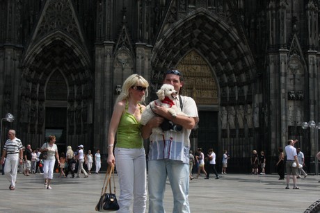 besucher