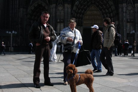besucher