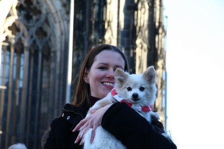 besucher