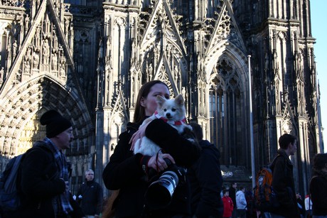 besucher