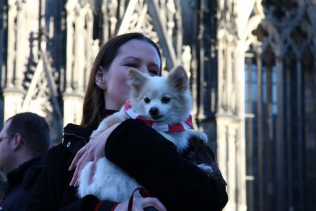 besucher