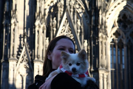 besucher