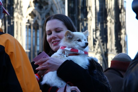 besucher