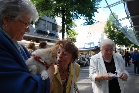besucher