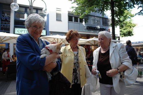 besucher