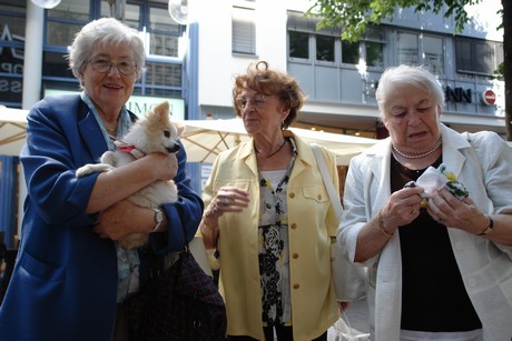 besucher