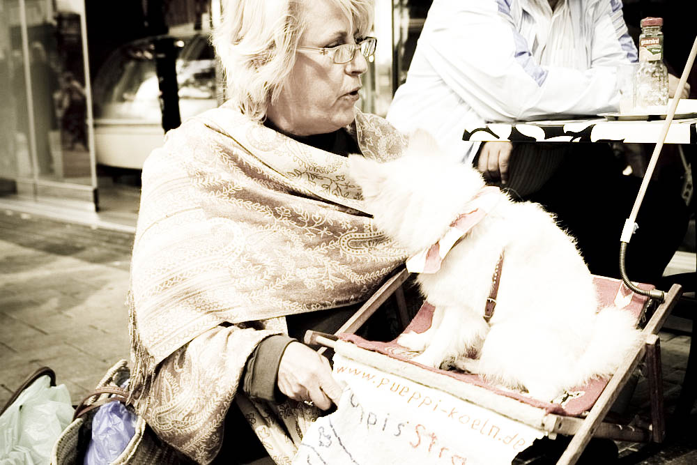 besucher