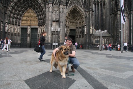 besucher